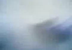 سکسی مشاعره بور بزرگ و sexبا دکتر الاغ محکم